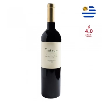 xx_vinho-tinto-merlot-reserva-mat-70cc66db8ff20e9c9f2439a424a6c02e-692-0.webp
